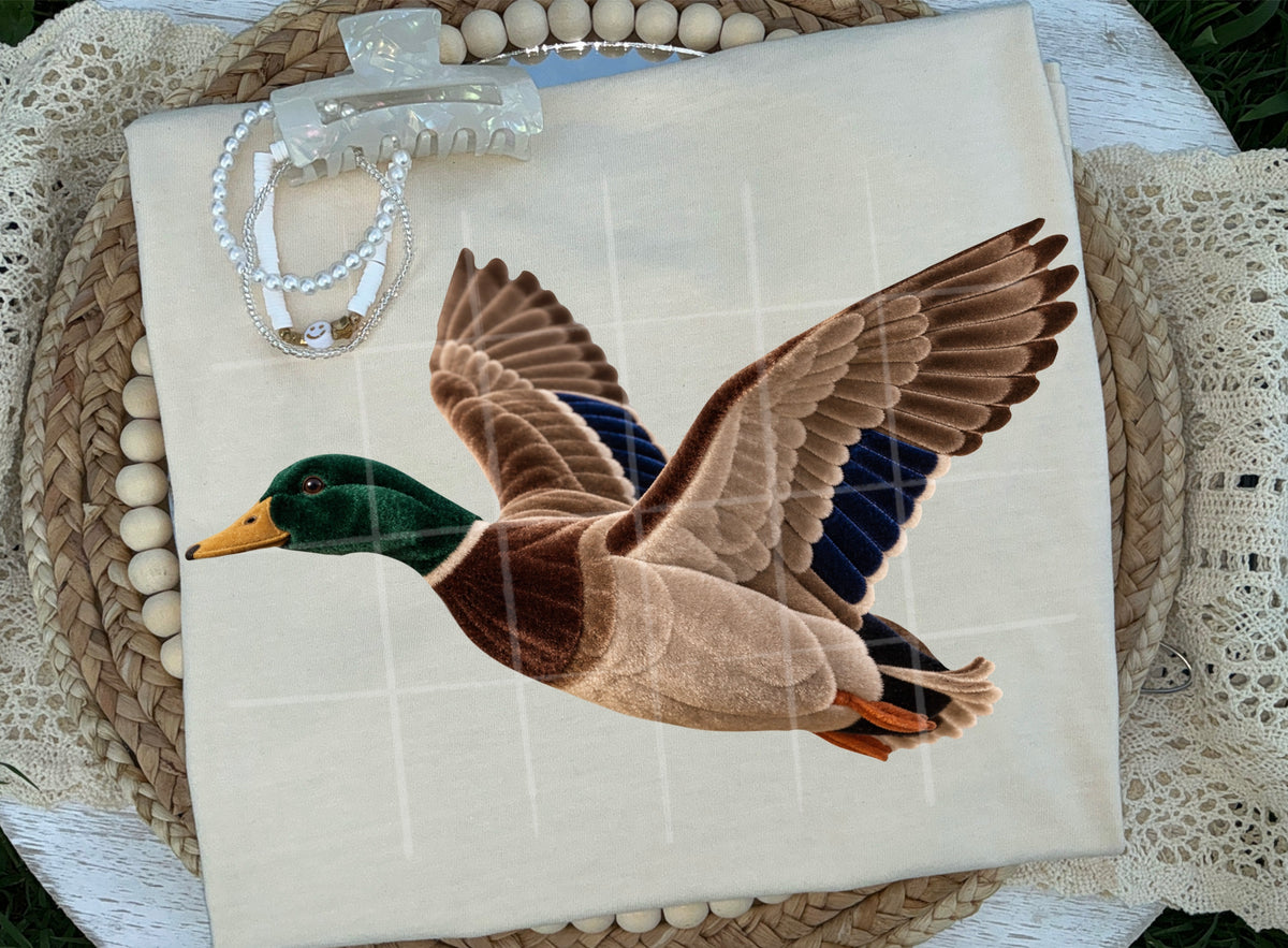 Velvet mallard duck