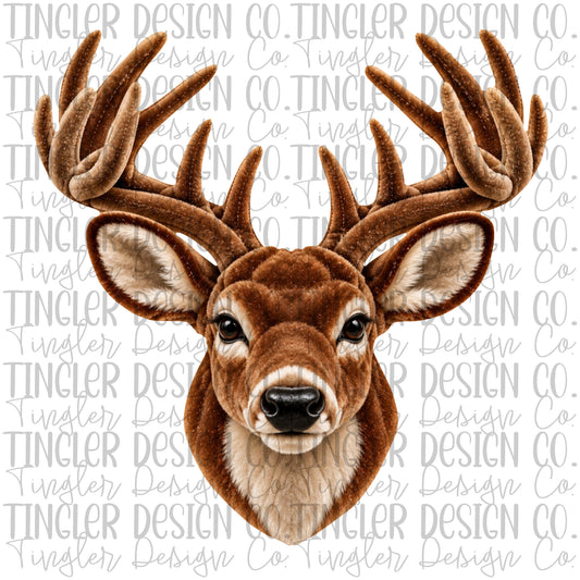 Velvet deer