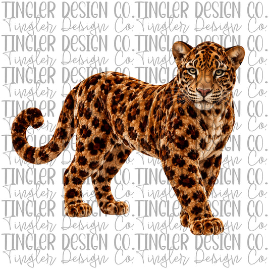 Velvet leopard